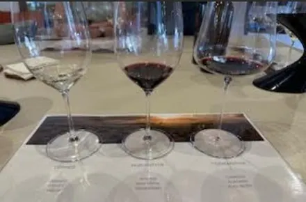 Three glasses with different amounts of red wine on a tasting mat.
